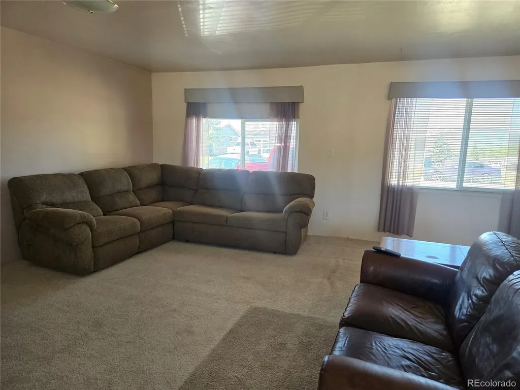 1309 Mount Elbert Drive Leadville CO 80461
