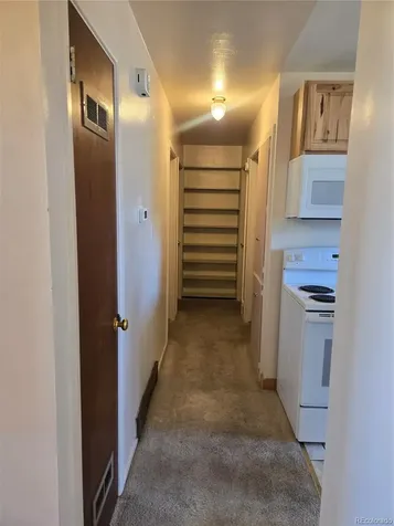 1309 Mount Elbert Drive Leadville CO 80461