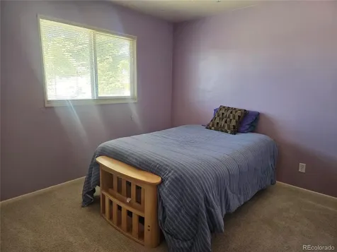 1309 Mount Elbert Drive Leadville CO 80461