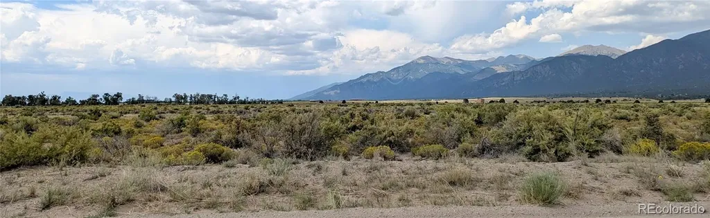 411 Camino Del Rey Crestone CO 81131