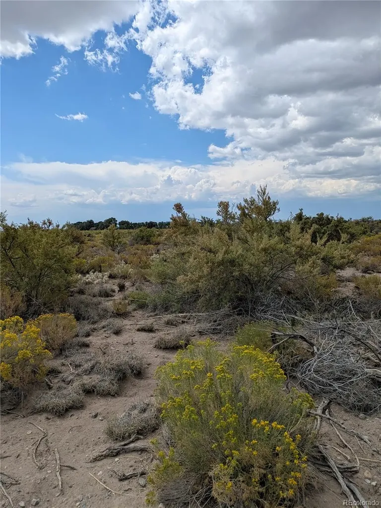 411 Camino Del Rey Crestone CO 81131