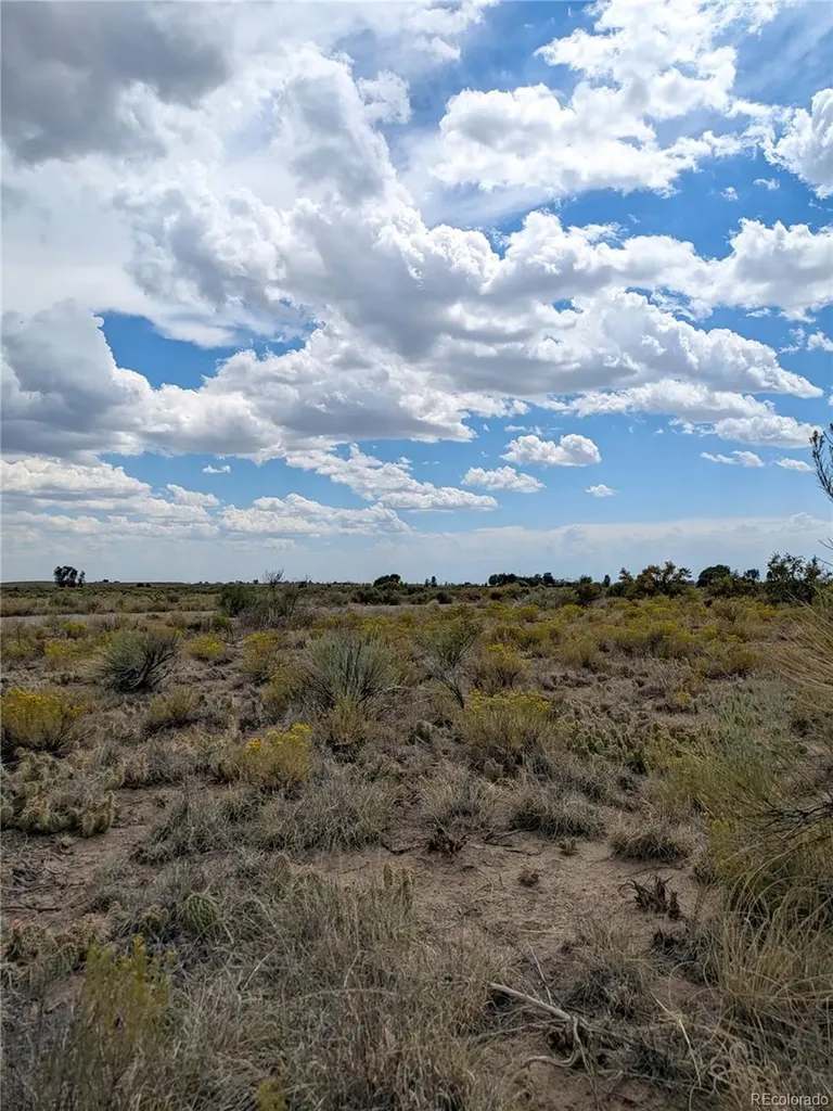 411 Camino Del Rey Crestone CO 81131