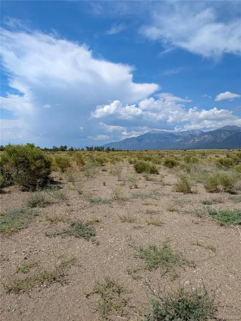 411 Camino Del Rey Crestone CO 81131