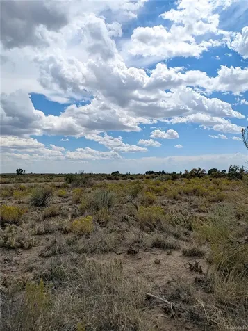 411 Camino Del Rey Crestone CO 81131
