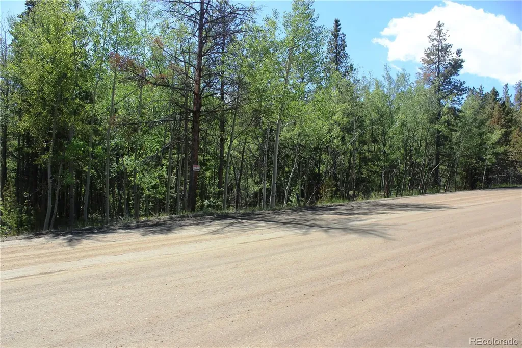 6050 Virginia Canyon Road Central City CO 80427