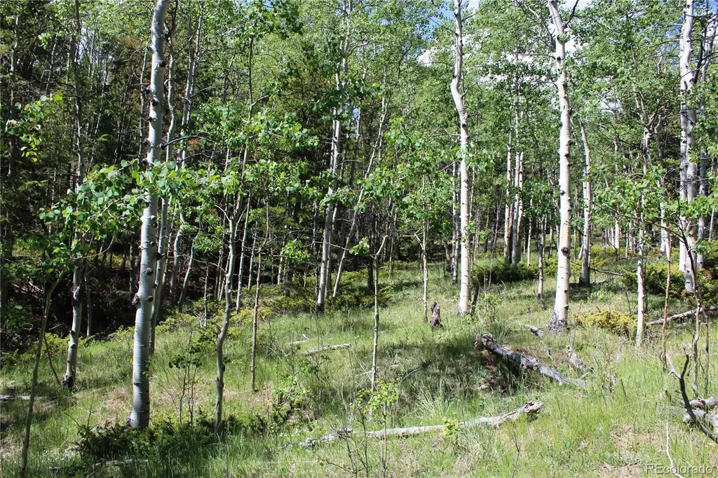 6050 Virginia Canyon Road Central City CO 80427