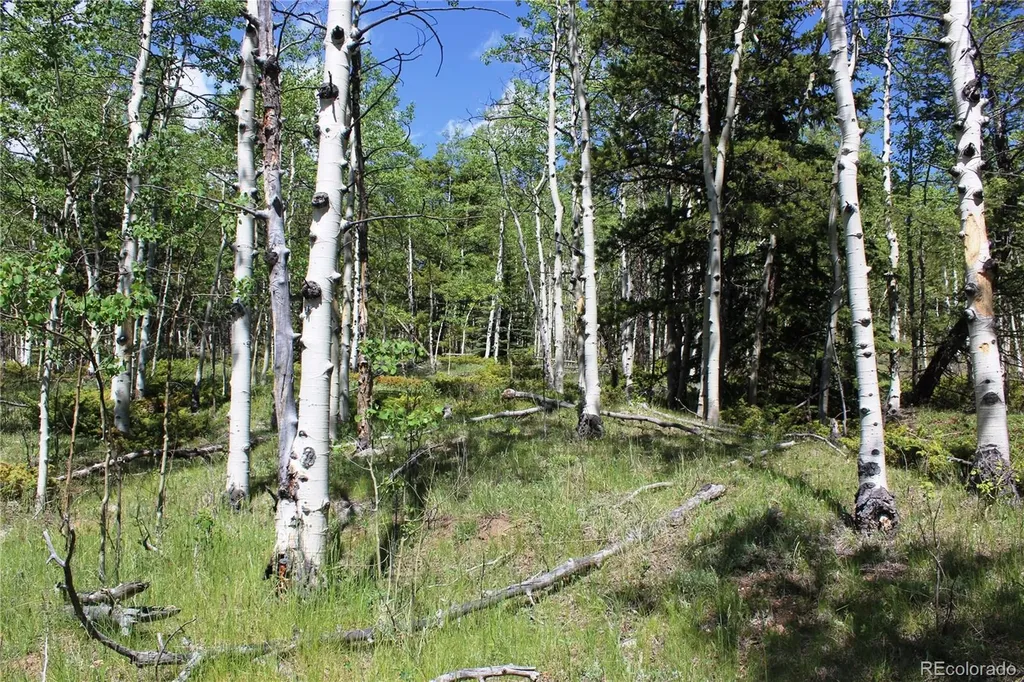 6050 Virginia Canyon Road Central City CO 80427