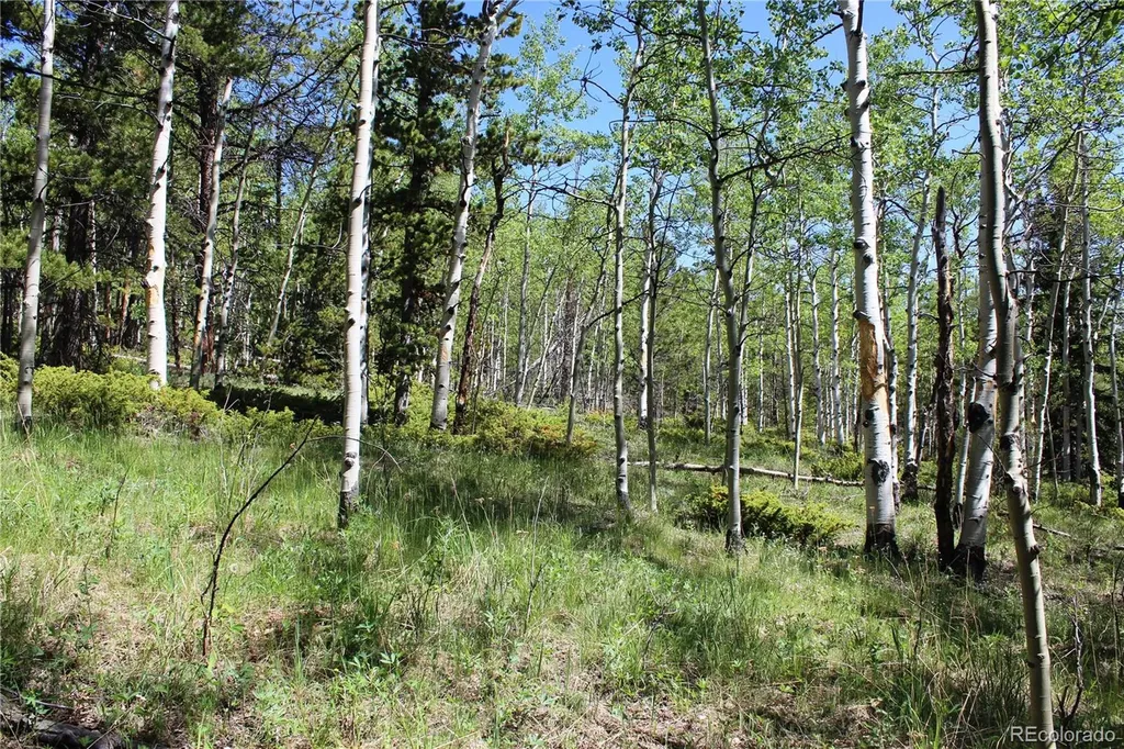 6050 Virginia Canyon Road Central City CO 80427