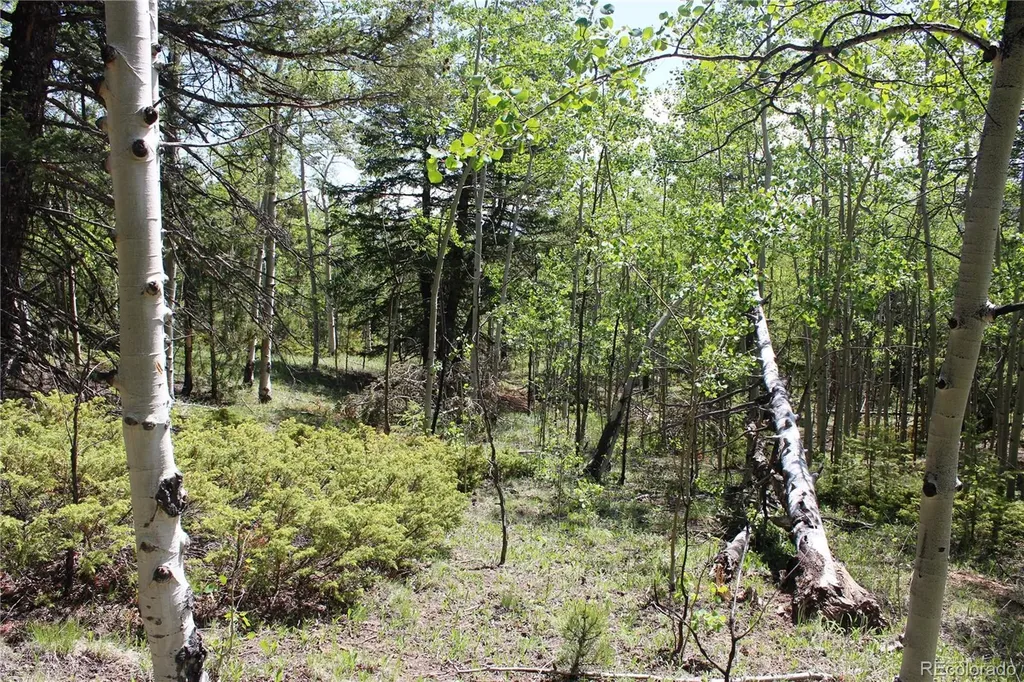 6050 Virginia Canyon Road Central City CO 80427