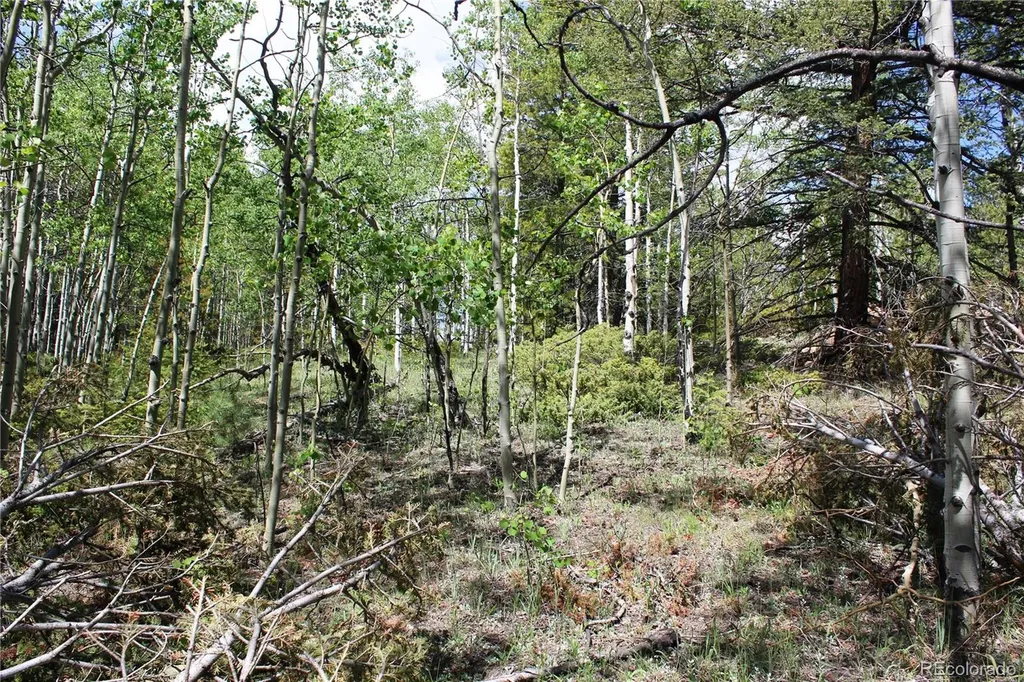 6050 Virginia Canyon Road Central City CO 80427