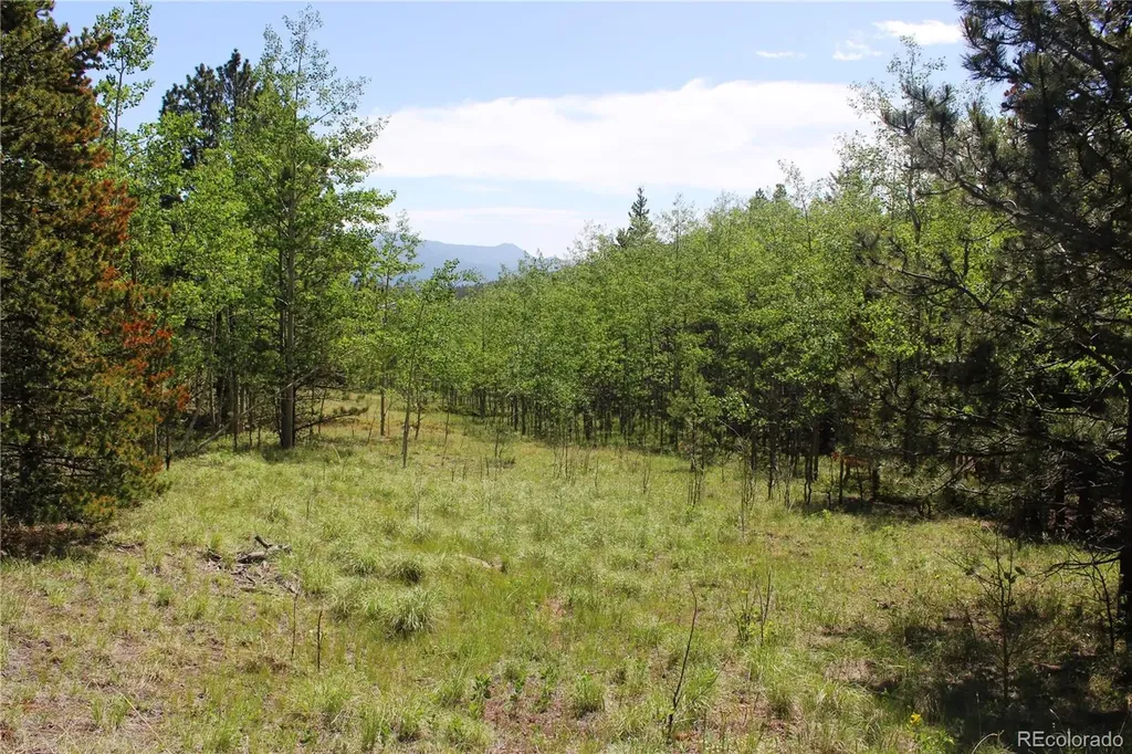 6050 Virginia Canyon Road Central City CO 80427