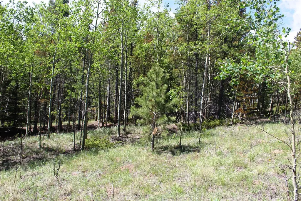 6050 Virginia Canyon Road Central City CO 80427