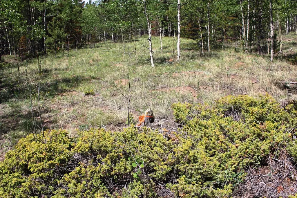 6050 Virginia Canyon Road Central City CO 80427