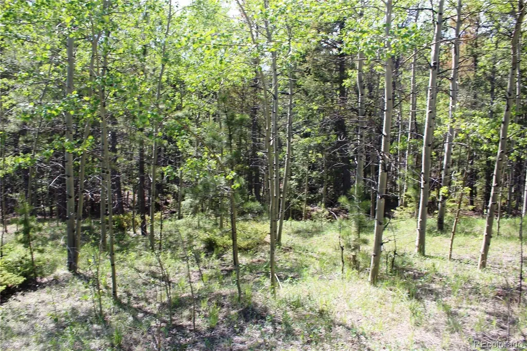 6050 Virginia Canyon Road Central City CO 80427