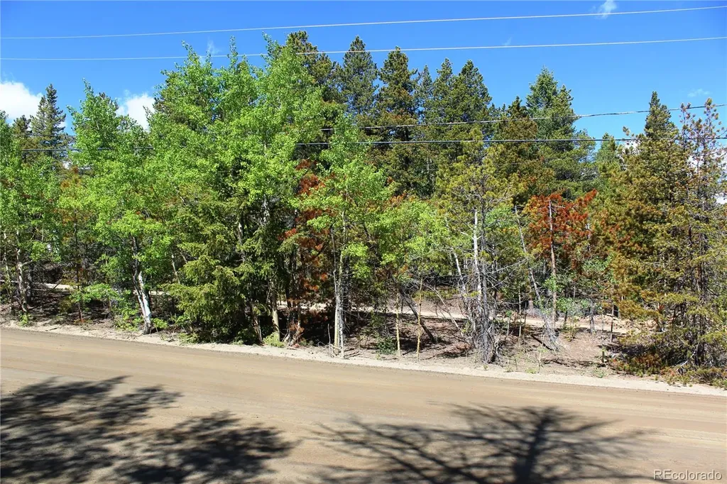 6050 Virginia Canyon Road Central City CO 80427