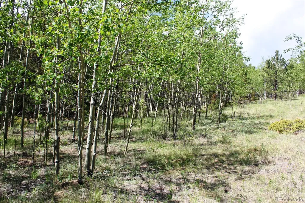 6050 Virginia Canyon Road Central City CO 80427
