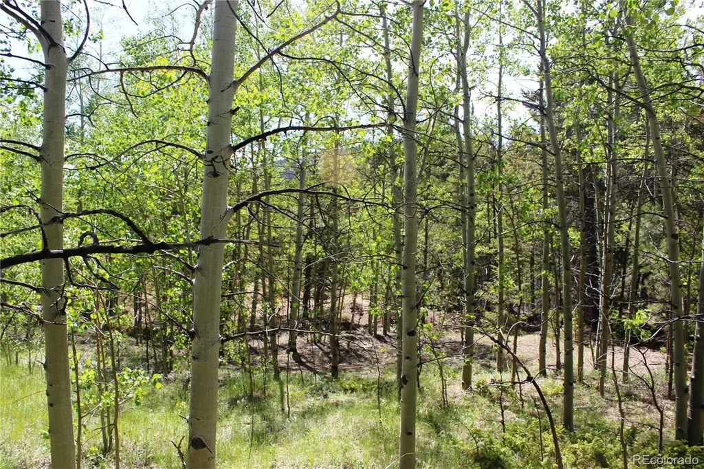 6050 Virginia Canyon Road Central City CO 80427