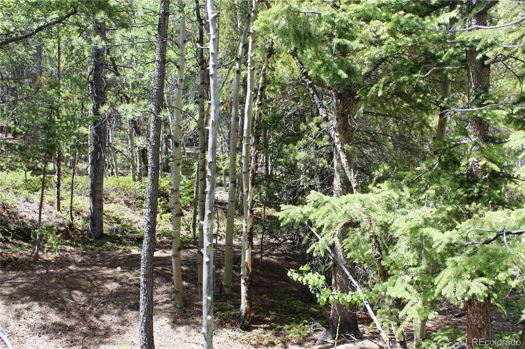6050 Virginia Canyon Road Central City CO 80427