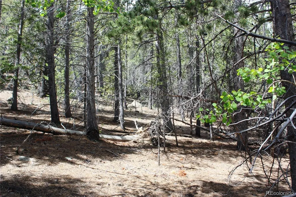 6050 Virginia Canyon Road Central City CO 80427