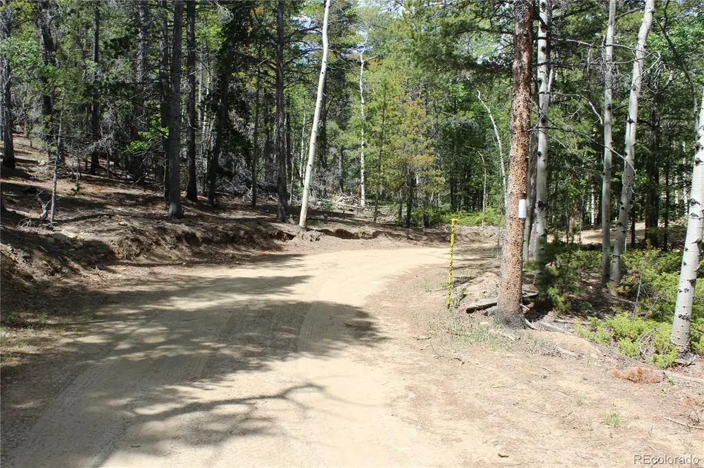 6050 Virginia Canyon Road Central City CO 80427
