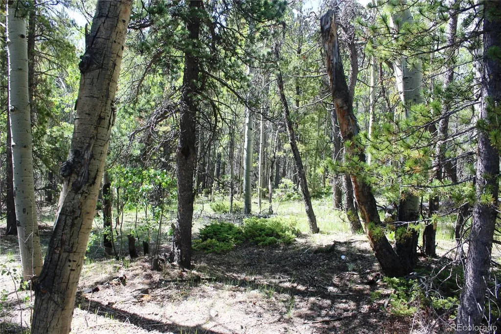 6050 Virginia Canyon Road Central City CO 80427