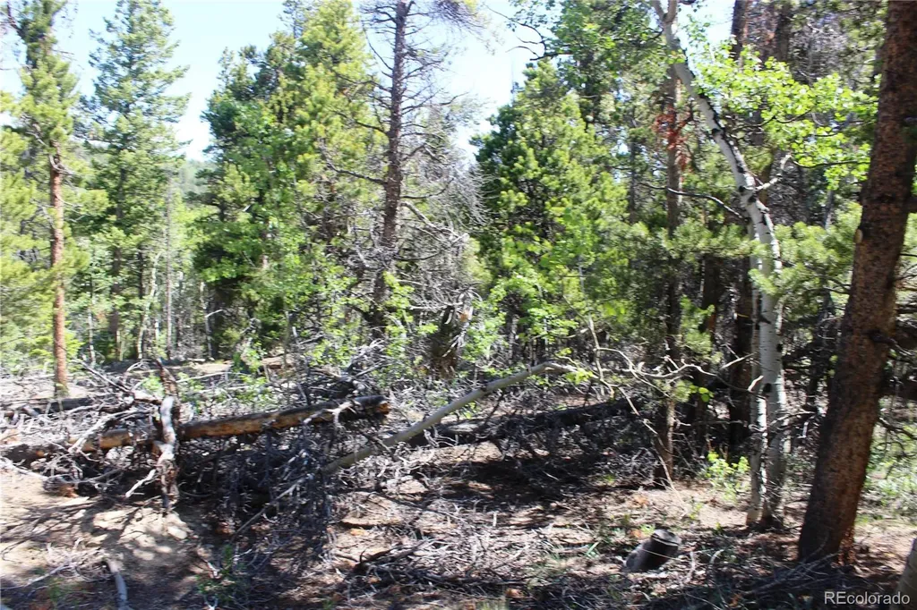 6050 Virginia Canyon Road Central City CO 80427