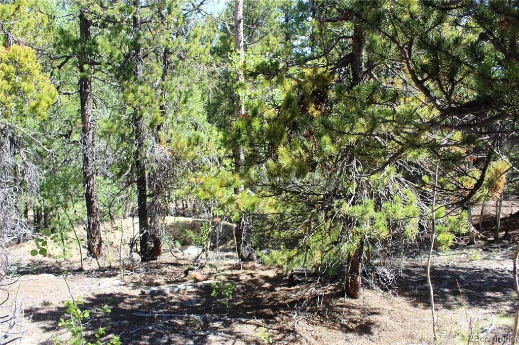 6050 Virginia Canyon Road Central City CO 80427