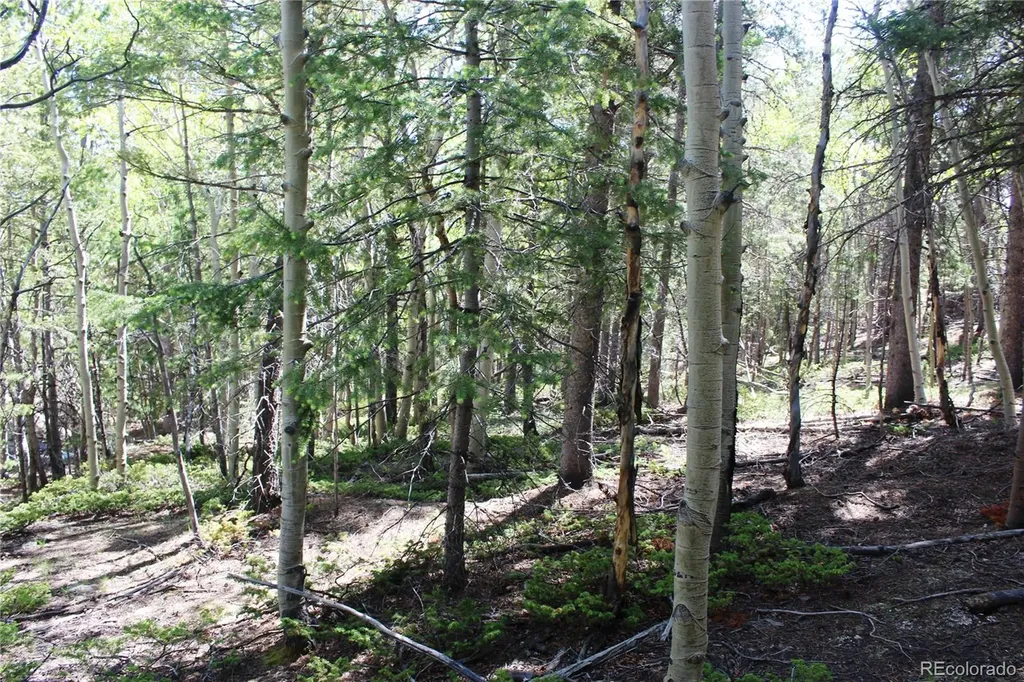 6050 Virginia Canyon Road Central City CO 80427