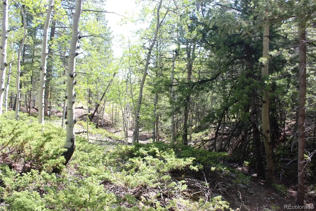 6050 Virginia Canyon Road Central City CO 80427