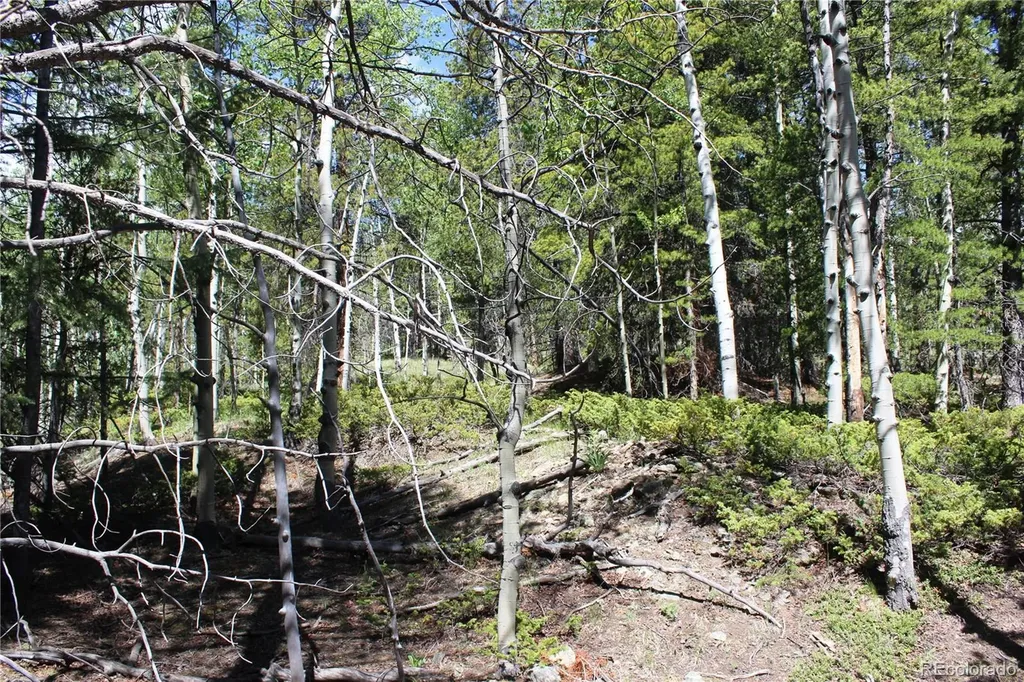 6050 Virginia Canyon Road Central City CO 80427