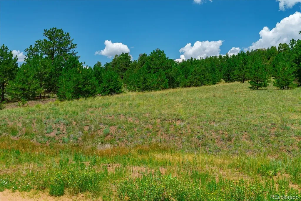 Lot 28 Penrose Circle Cripple Creek CO 80813