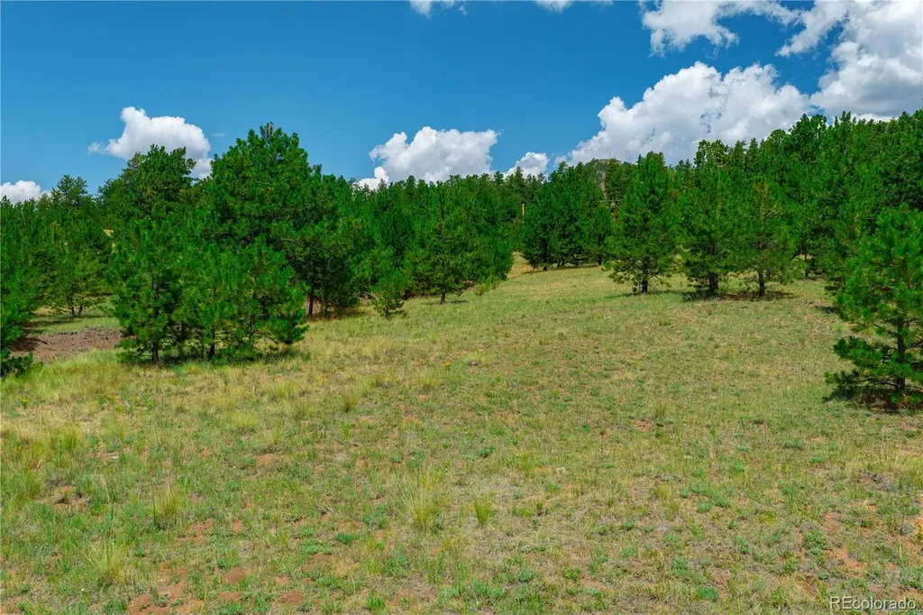 Lot 28 Penrose Circle Cripple Creek CO 80813