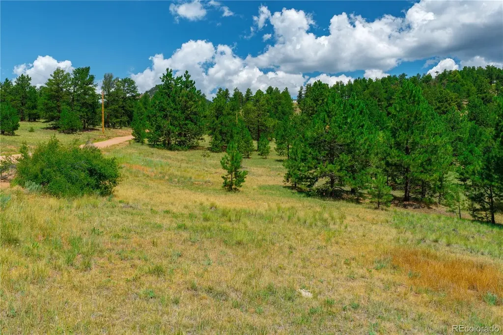 Lot 28 Penrose Circle Cripple Creek CO 80813