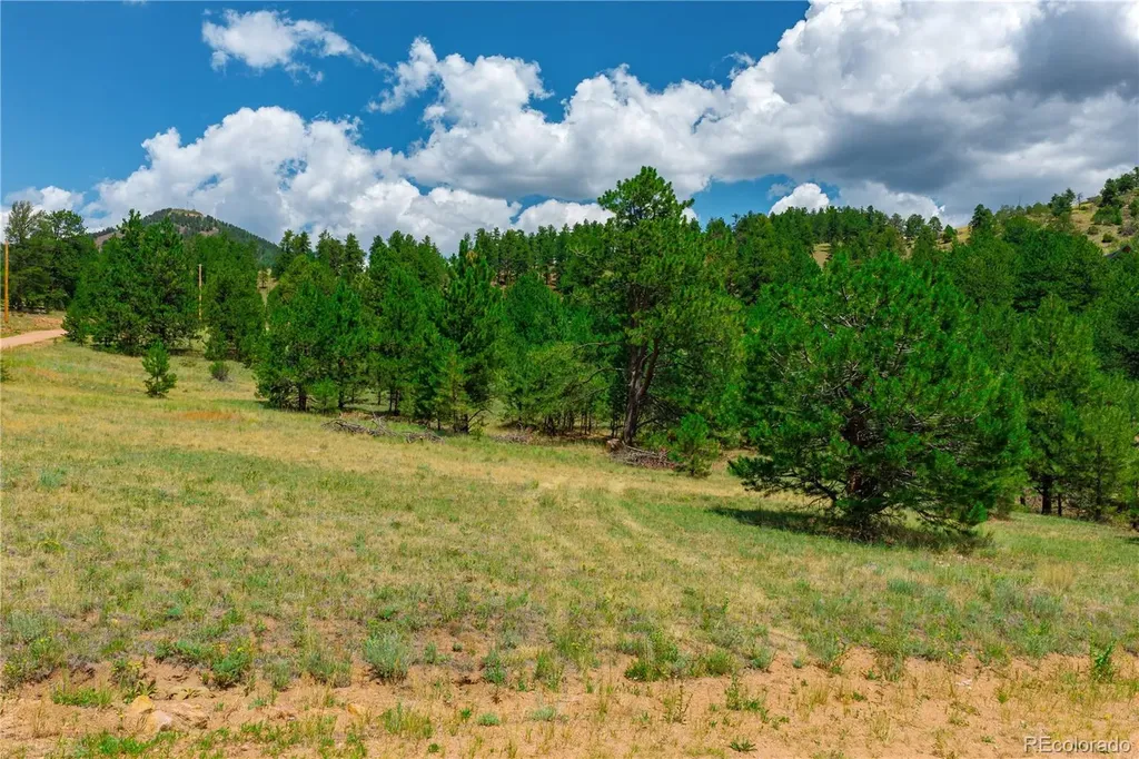 Lot 28 Penrose Circle Cripple Creek CO 80813