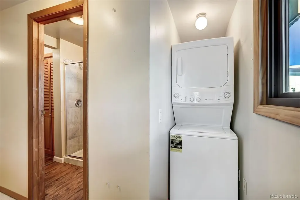 121 Fishermans Drive Silverthorne CO 80498