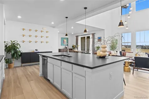 2917 Furthermore Lane Castle Rock CO 80108