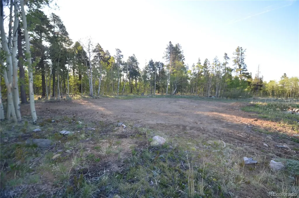 484 Wheat Way Fairplay CO 80440