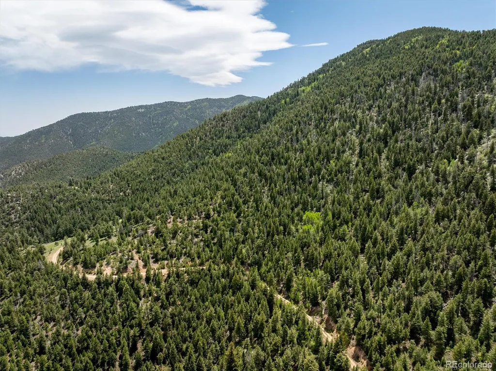 1259 Chute Road Golden CO 80403