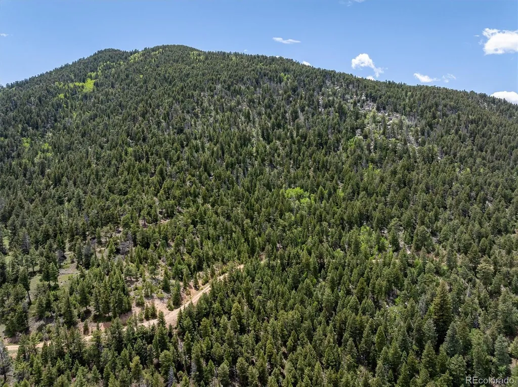 1259 Chute Road Golden CO 80403