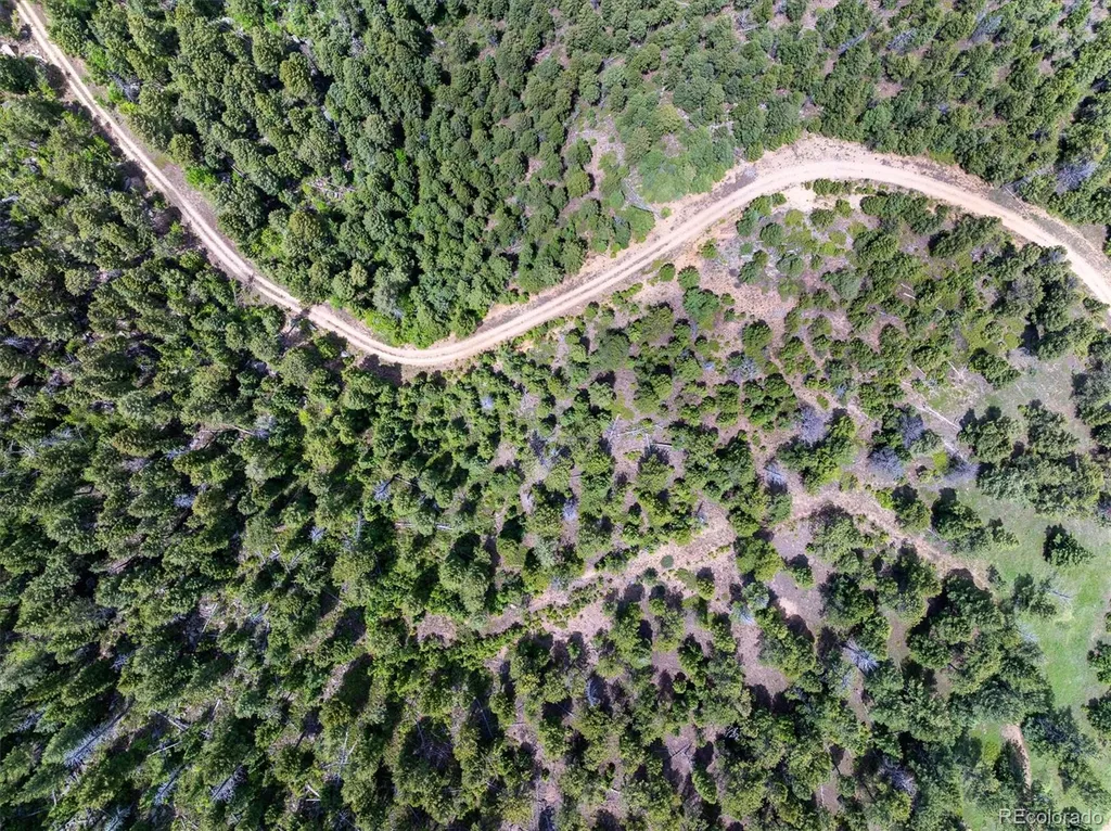 1259 Chute Road Golden CO 80403