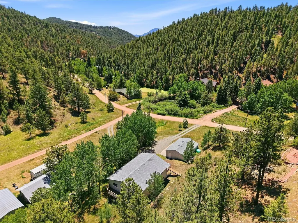 427 Brookside Drive Bailey CO 80421