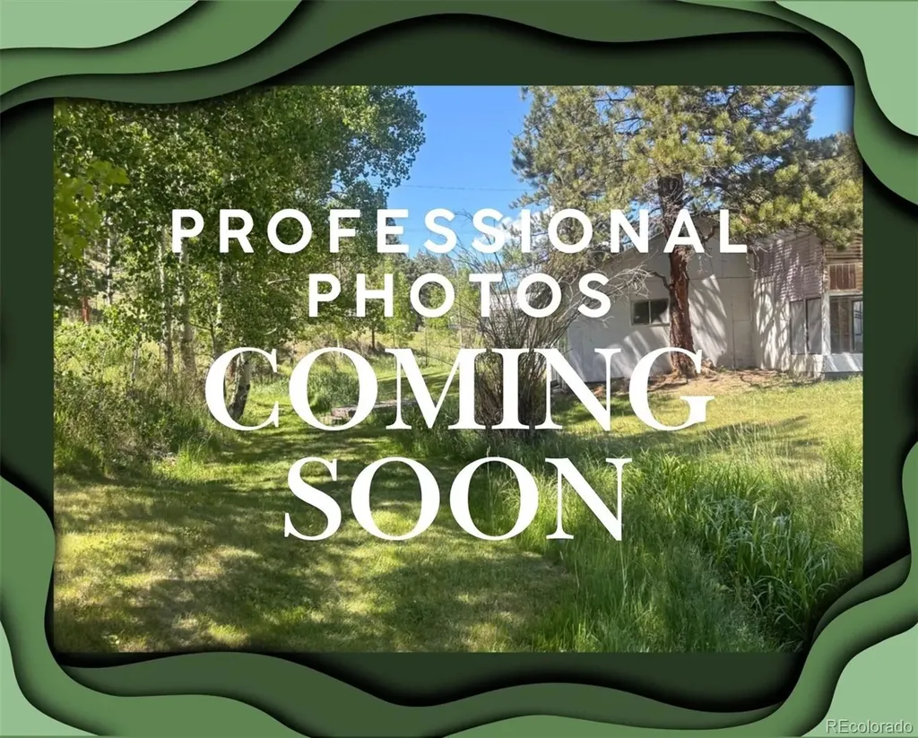 427 Brookside Drive Bailey CO 80421