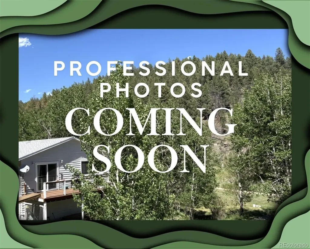 427 Brookside Drive Bailey CO 80421