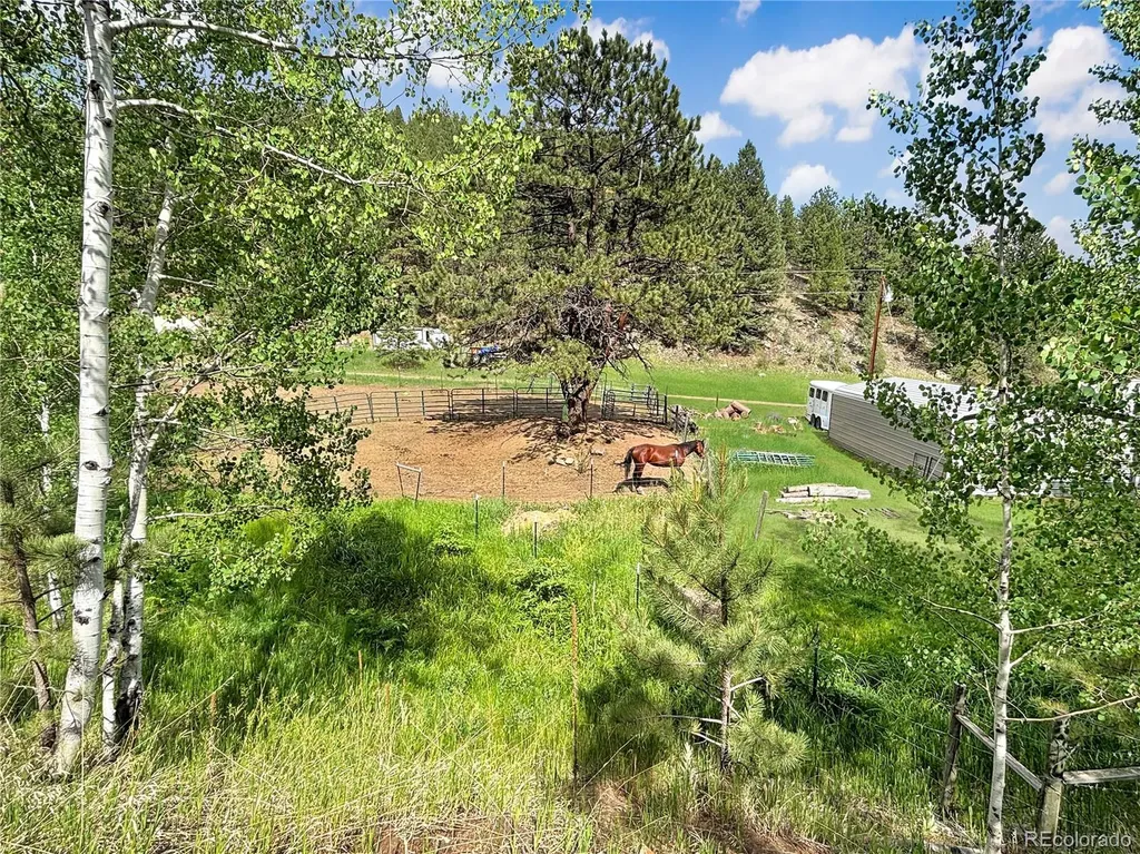 427 Brookside Drive Bailey CO 80421