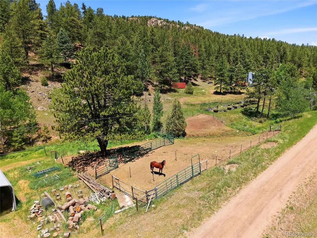 427 Brookside Drive Bailey CO 80421