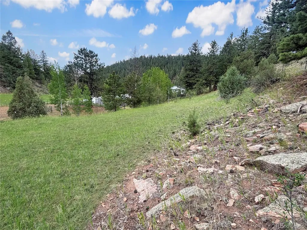 427 Brookside Drive Bailey CO 80421