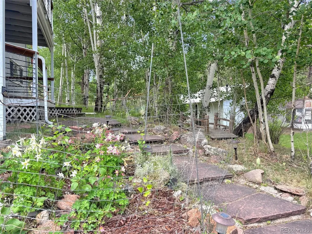 427 Brookside Drive Bailey CO 80421