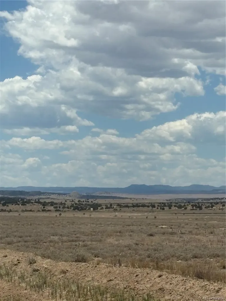 222 & 224 Turkey Ridge Ranch Walsenburg CO 81089