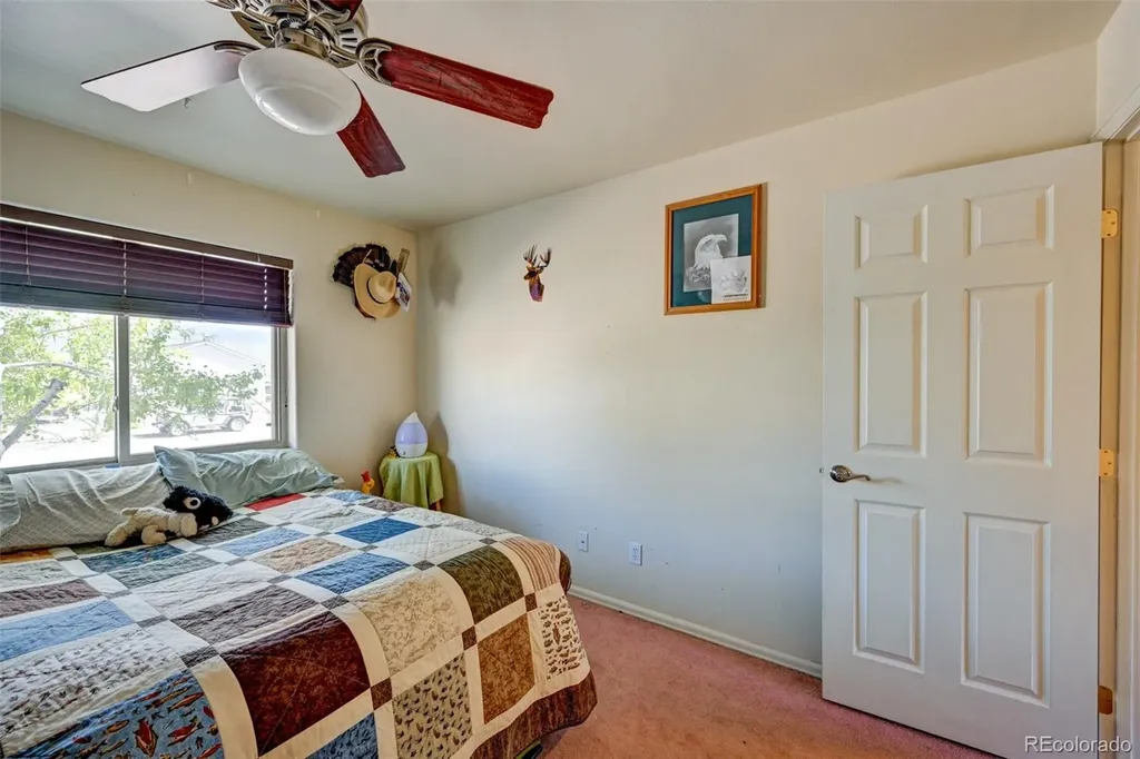 97 Tammie Drive Buena Vista CO 81211
