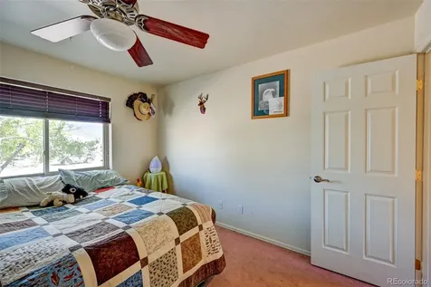 97 Tammie Drive Buena Vista CO 81211